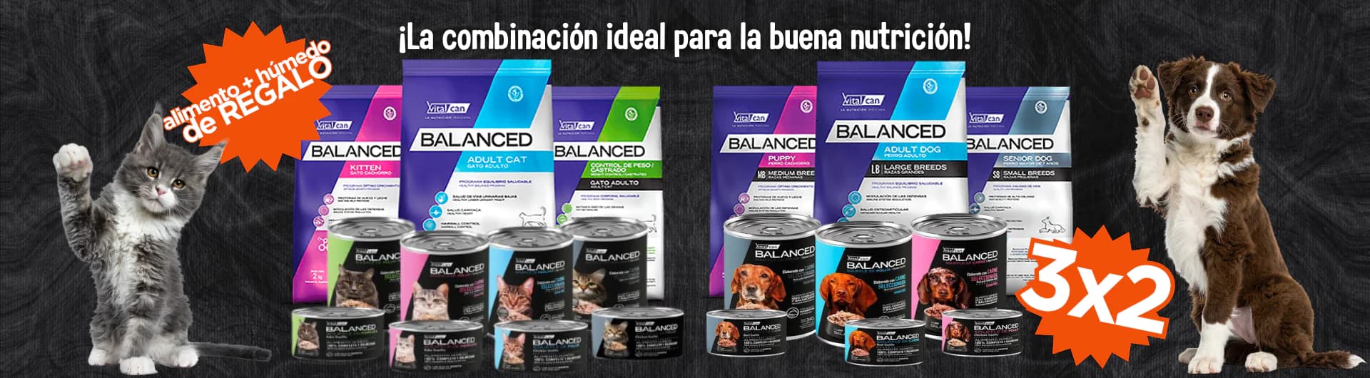 Promociones Vitalcan